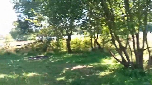 Сходня (отдых) Верескинский пруд смотреть онлайн