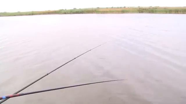Ловля плотвы и уклейки смотреть онлайн