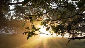 Людмила Сенчина - День рождения