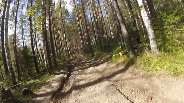 Уральский лес. смотреть онлайн