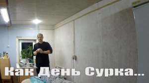 В трендах сегодня ремонт кухни и бройлеры и "адская" поездка в город!