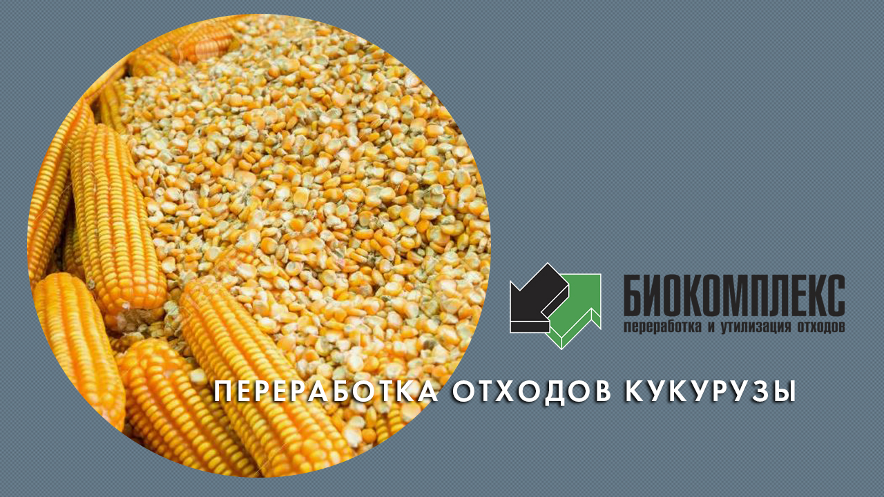 Переработка зародышей кукурузы смотреть онлайн
