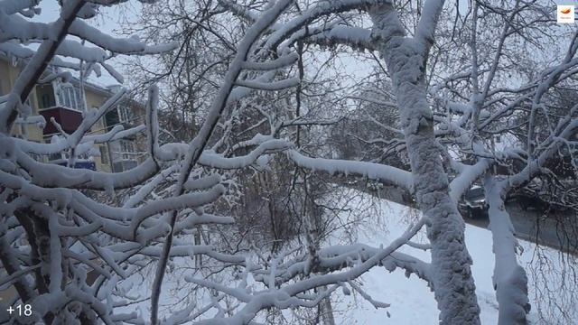 Мисосиру 味噌汁