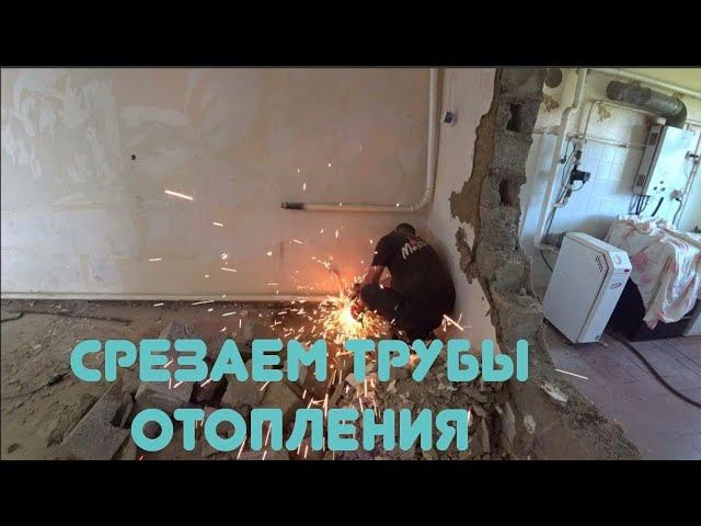 ПРОДОЛЖЕНИЯ ГЛОБАЛЬНОГО РЕМОНТА/ПЕРВЫЙ РАЗ КОРМЛЮ ВИТАЛИНЫХ СОБАК. смотреть онлайн