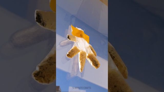 SMART HACKS FOR HOME GARDEN ??? || Gardening Tips For Beginners смотреть онлайн