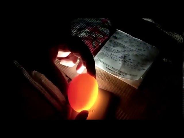 Проверка куриных яиц на оплод в седьмой день инкубации 20.02.20 год смотреть онлайн