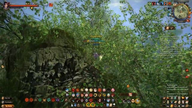 Age Of Wushu - How To Disguise (NEW UPDATE)