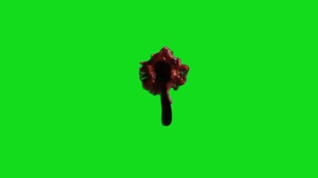 FERIMENTO SANGUE ESCORRENDO - Chroma Key (Blood injury) - Clique nos links para ajudar o canal смотреть онлайн
