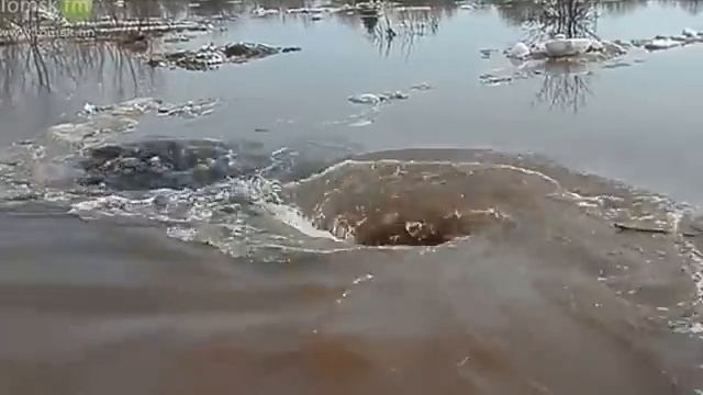 Водоворот, красиво и страшно. смотреть онлайн