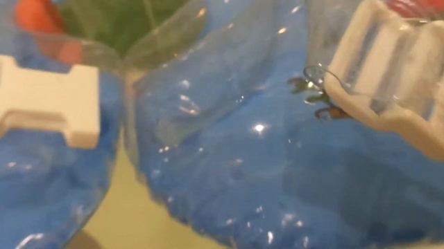 #28 Обзор на детский музыкальный круг для ванны смотреть онлайн