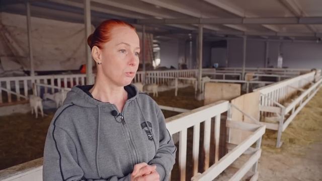 Козоводство с нуля 2 | Реализация гранта | Бизнес на козах смотреть онлайн