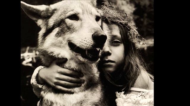 Armand Amar - Le Piege (La Jeune Fille Et Les Loups 2008 ) смотреть онлайн