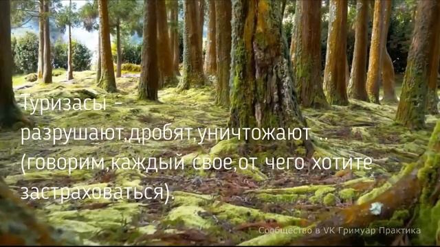 Рунический став : Живой щит , автор Светлана Соуло смотреть онлайн