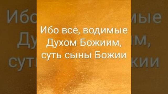 Водимые Духом Святым (Деян. 8:26-40) (Проповедь Александра Курмаева) смотреть онлайн
