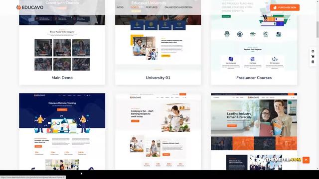 Educavo - Online Courses and Education WordPress Theme university courses Kashii смотреть онлайн