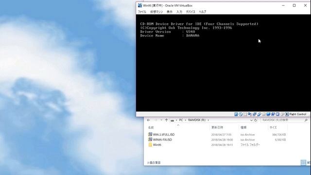 how to fix CPU and RAM issue. [WIN95-FIX.ISO] смотреть онлайн