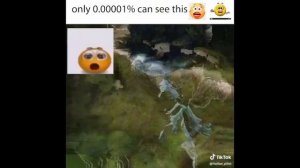 Шайлушай