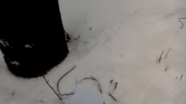 На том месте есть астральный паразит, это очень опасно для жильцов дома смотреть онлайн