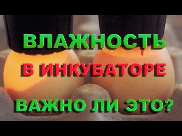 ВЛАЖНОСТЬ В ИНКУБАТОРЕ - 100% ВЫВОД | секреты инкубации смотреть онлайн