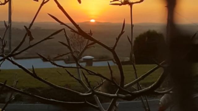 'Leisure' by William Henry Davies read by John Kelly смотреть онлайн