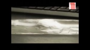 [Особо Опасен!] Станционный Душитель