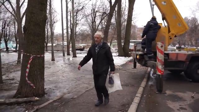 ЖКХ в Самаре пилят деревья на машины  и головы прохожих