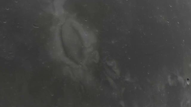 Cómo y cuándo observar la Luna de Nieve 🌛 смотреть онлайн