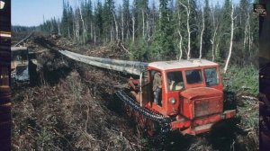 Советский гусеничный трелевочный трактор - ТТ-4