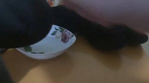 КАК ИЗБАВИТСЯ ОТ РАЗВОДОВ И БЕЛЫХ БЕЛЫХ ПЯТНАЯ НА ЗАМШЕВОЙ ОБУВИ