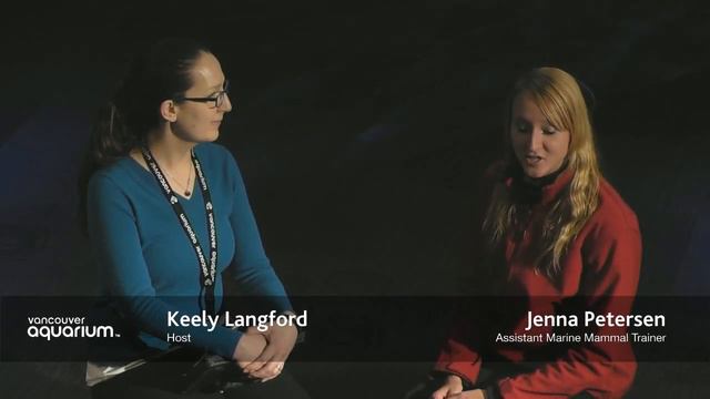 Arctic Talk Show - Jenna Petersen, Assistant Marine Mammal Trainer (Northern Spotlights) смотреть онлайн