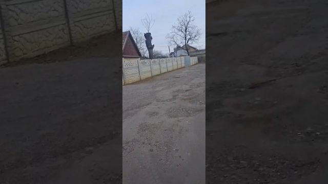 Взрослое кино#собакадругчеловека #любовьспасётмир смотреть онлайн