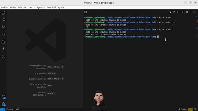Introducción a Bash script desde la terminal de linux | ? ?️ | Cap 2 смотреть онлайн
