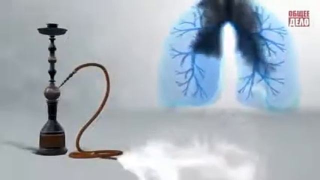 Вред кальяна смотреть онлайн