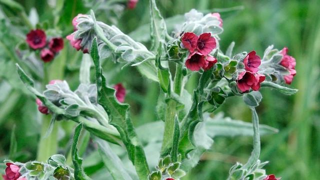 Строительные Сюрпризы