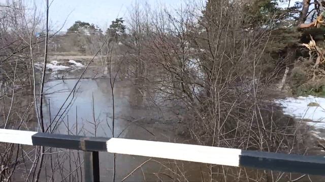 Затопление 2023г Арзамасский район С.Пошатово Спасибо за поддержку и лайки всего вам хорошего удачи смотреть онлайн