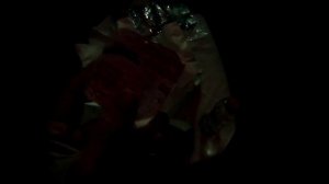 Купе. Класс обслуживания - 2Э - питание.