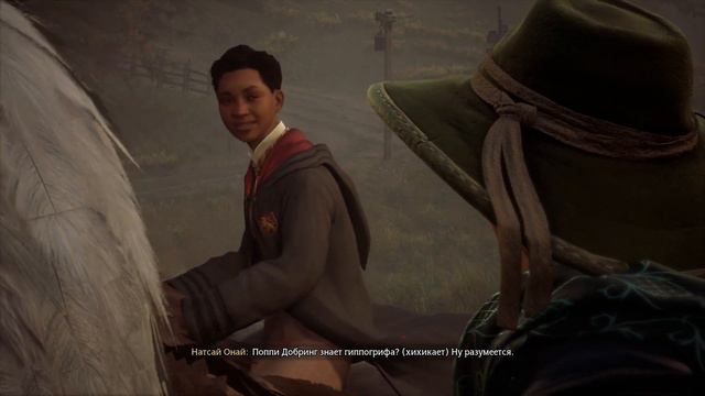 Высокая крепость ➤ Hogwarts Legacy ► #23 смотреть онлайн