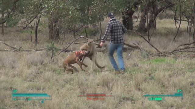 Lone Wanderer punches a kangaroo in the face to rescue his dogmeat смотреть онлайн