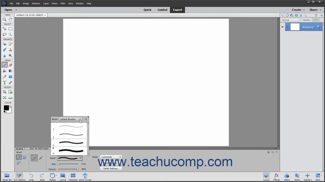 Photoshop Elements 2021 Tutorial Using the Brush Preset Picker Adobe Training смотреть онлайн