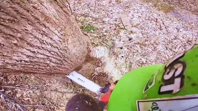 High Ball Logging? смотреть онлайн
