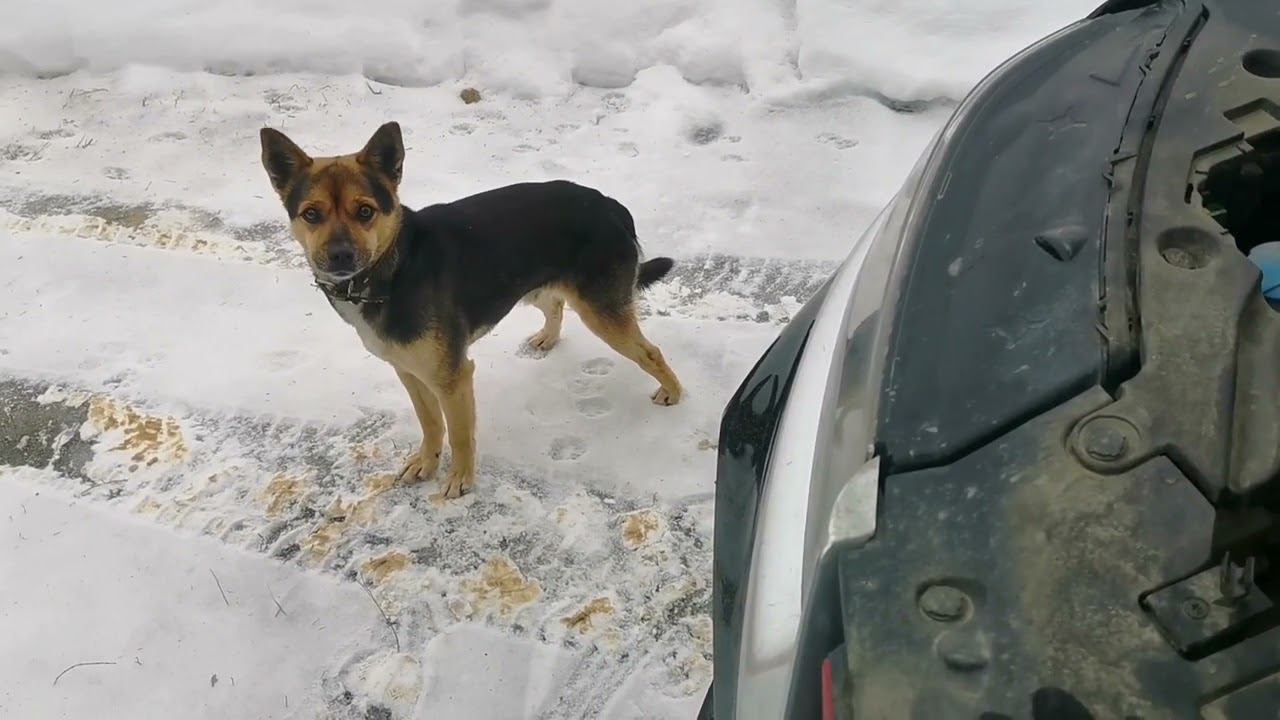 Geely Coolray не завелась в мороз - пробую jump-стартер... и, кстати, легко ли снять аккумулятор? смотреть онлайн