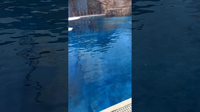 28 июня 2023 г. смотреть онлайн