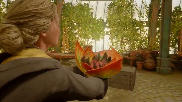 Hogwarts Legacy Mirabel Garlic 8 смотреть онлайн