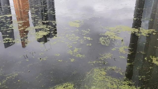 Вид на Москва Сити смотреть онлайн