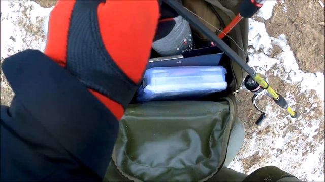 Золотая Рыбка 2019. Бронницы. смотреть онлайн
