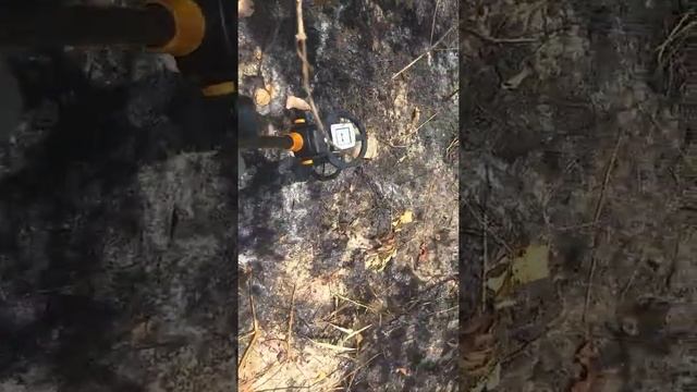 caçada com detector de metal MD 1008 A смотреть онлайн