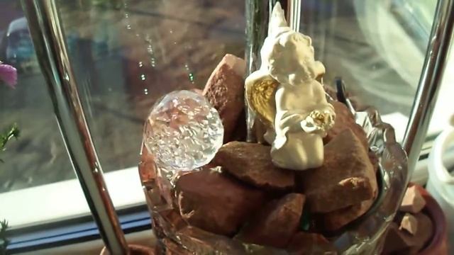 Прана Флоу, как ухаживать? смотреть онлайн