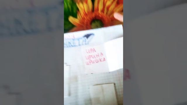 Моё первое видео, показываю свой личный дневник смотреть онлайн