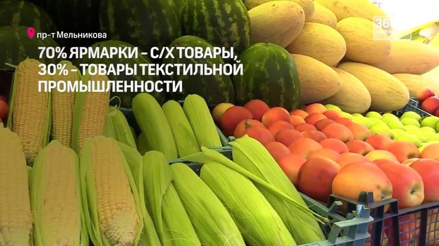 23.10.2017 Химки. Открылась ярмарка «Дары осени» (360°) смотреть онлайн