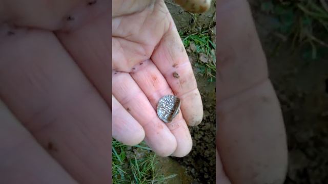 Lucky Bert gets a henry a long way away.... from the rest of them смотреть онлайн